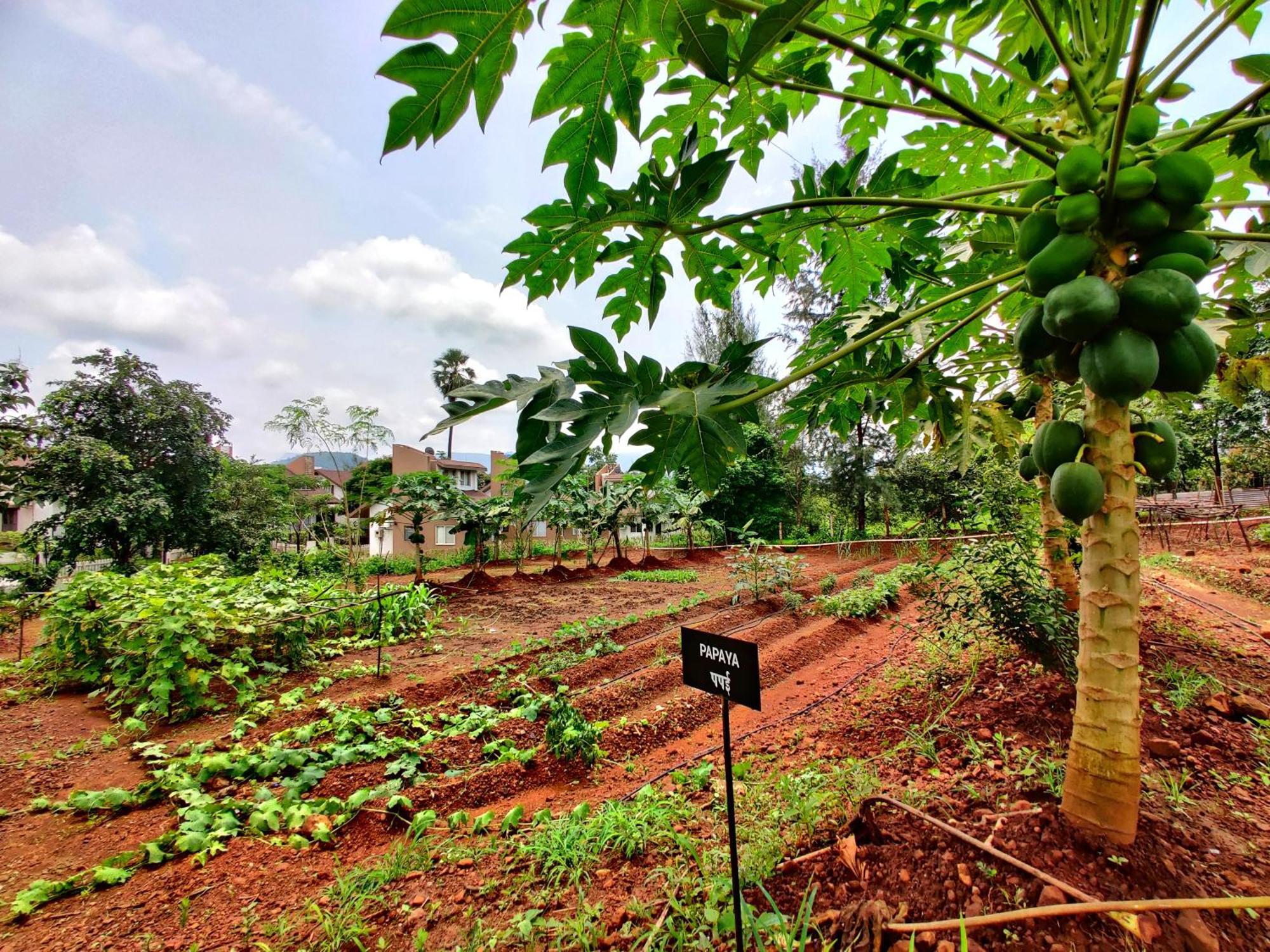 Pushpam Sanskruti Resort Karjat - A Pure Veg Resort Dhamni Exterior foto